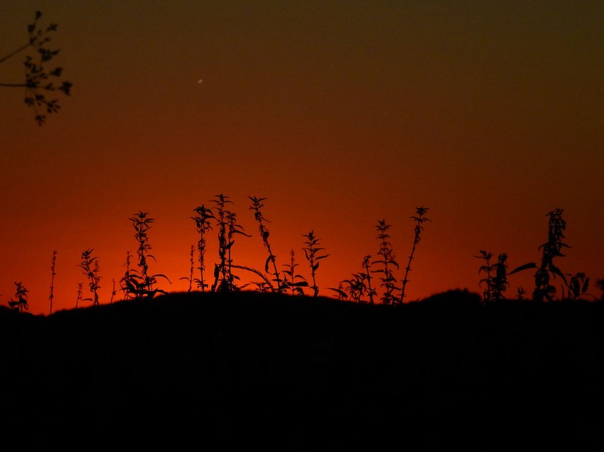 Sonnenuntergang &uuml;ber dem S&uuml;dharz