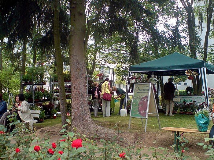 Fest f&uuml;r die K&ouml;nigin