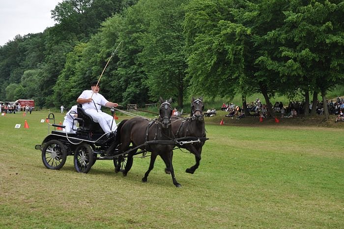 Ponyfest W&uuml;lfingerode