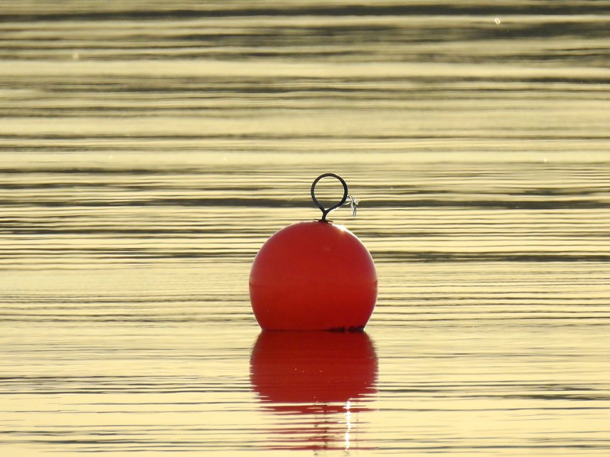 Badespa&szlig; am See