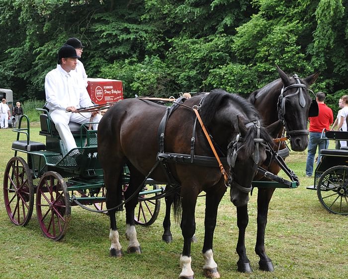 Ponyfest W&uuml;lfingerode