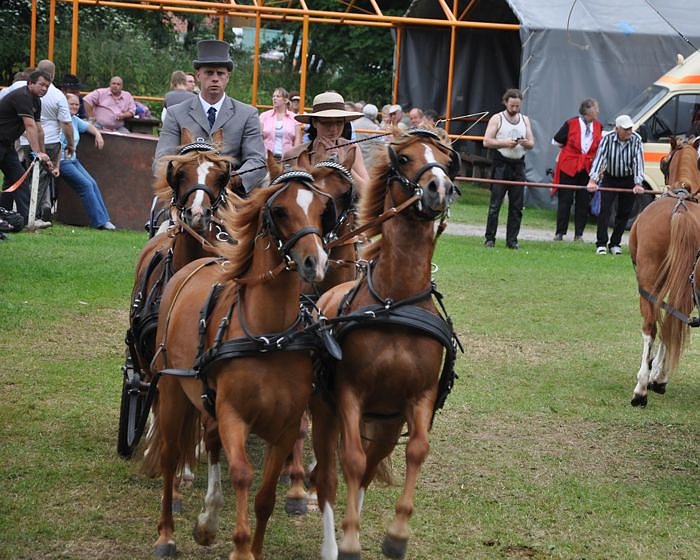 Ponyfest W&uuml;lfingerode