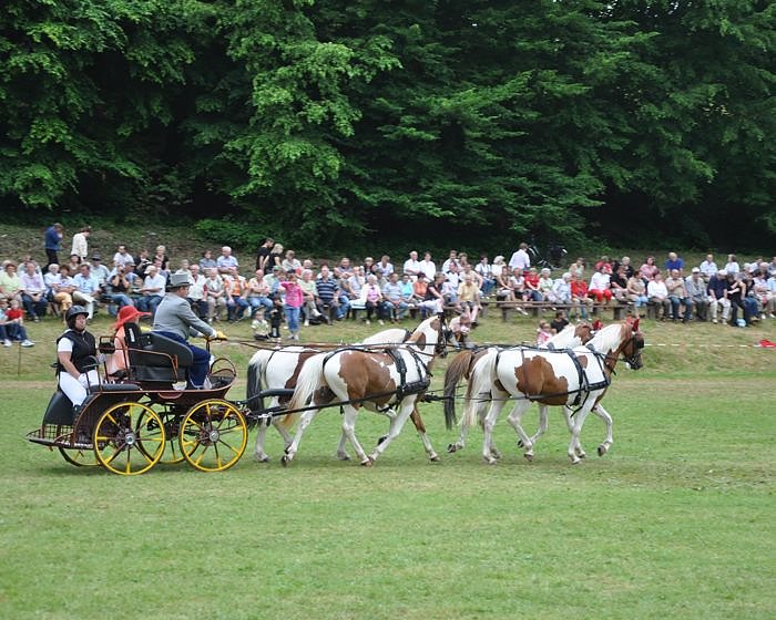 Ponyfest W&uuml;lfingerode