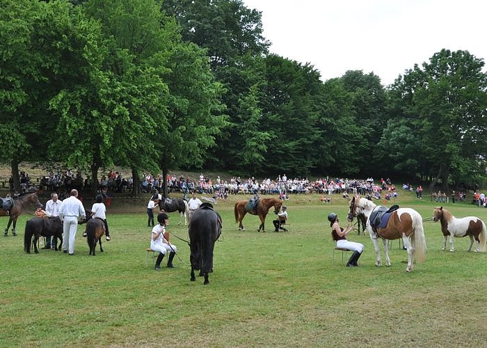 Ponyfest W&uuml;lfingerode