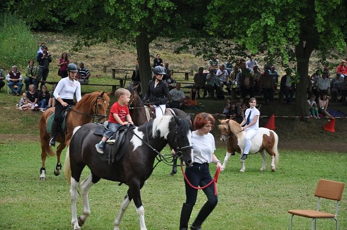 Ponyfest W&uuml;lfingerode