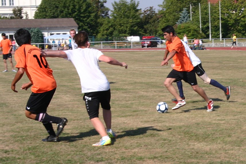 Vereinssportfest des LV Altstadt