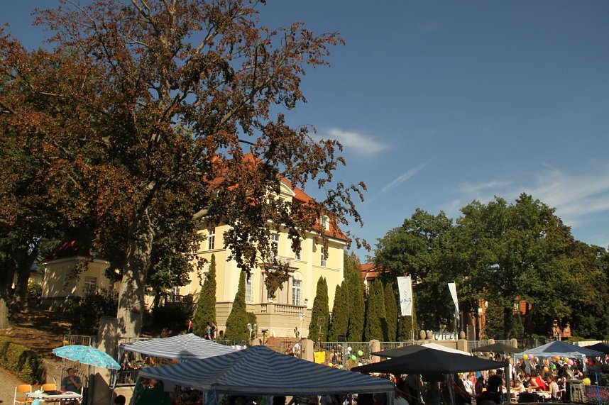 17. Stra&szlig;enfest der Pro Vita Akademie Nordhausen