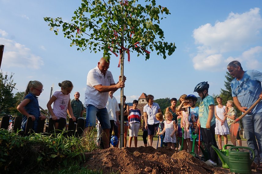 Baum pflanzen in Osterode