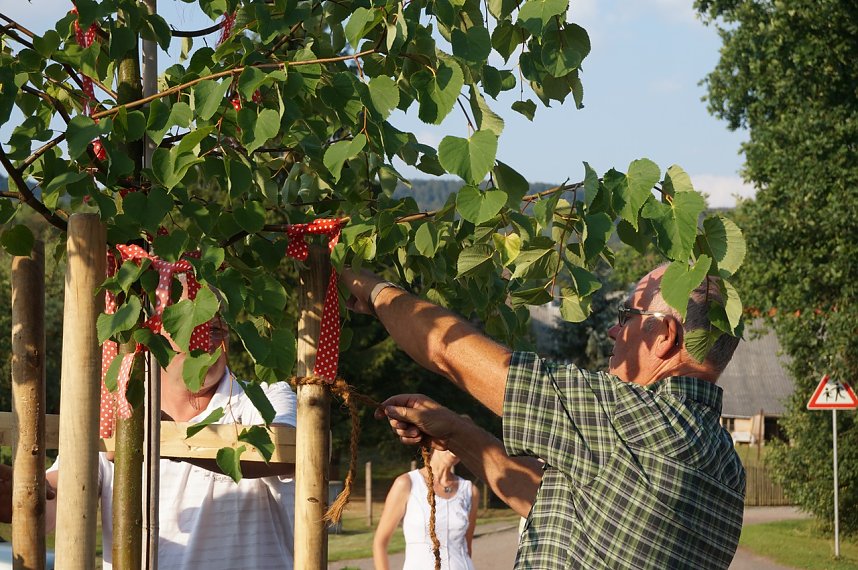 Baum pflanzen in Osterode