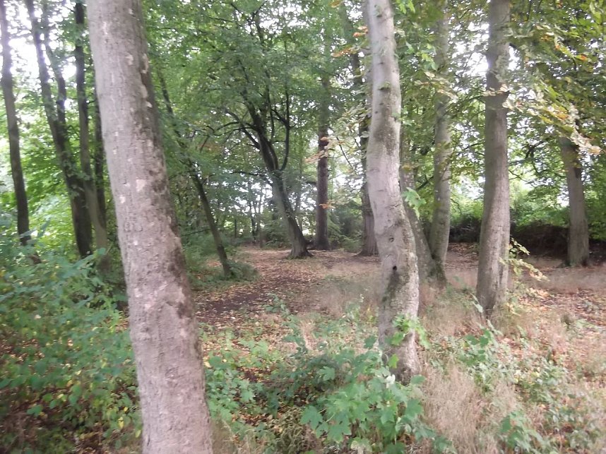 BI k&auml;mpft f&uuml;r den Erhalt des Parks in Werther