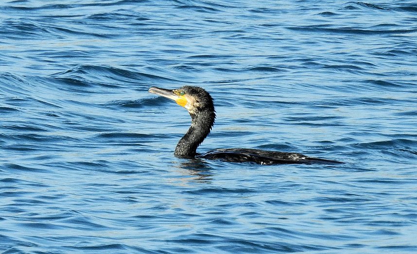 Rundgang am Sollnitzer See