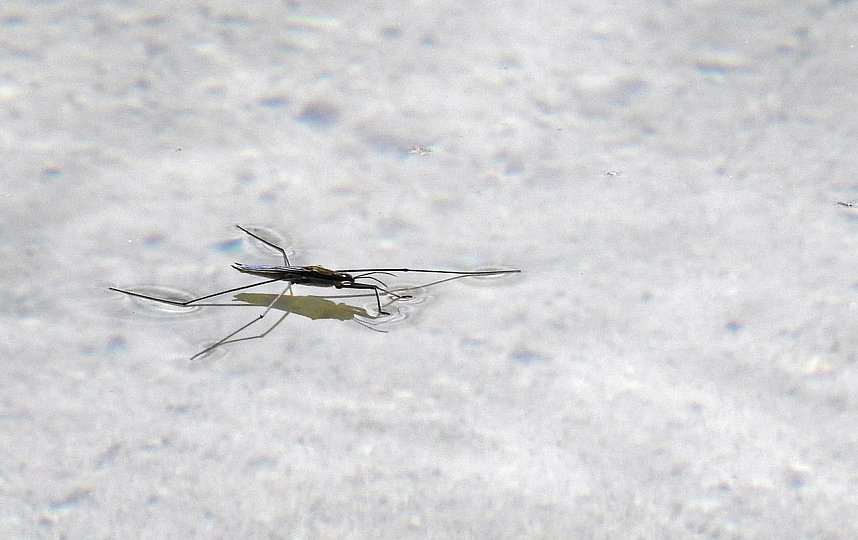 Rundgang am Sollnitzer See