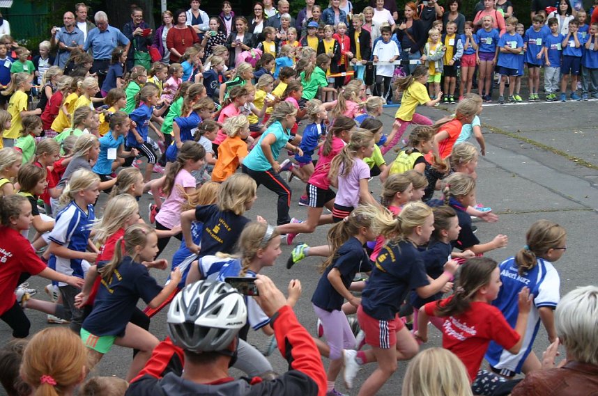 Herbst-Cross mit Rekordbeteiligung