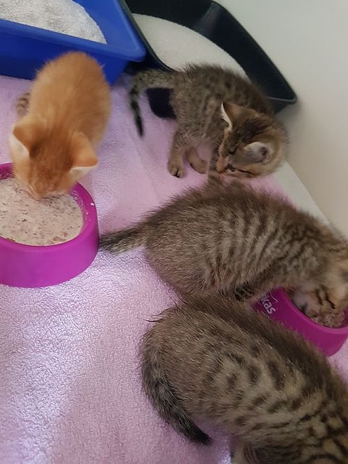 Danke f&uuml;r Hilfe und Unterst&uuml;tzung