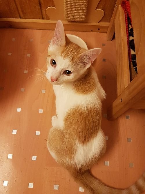 Danke f&uuml;r Hilfe und Unterst&uuml;tzung