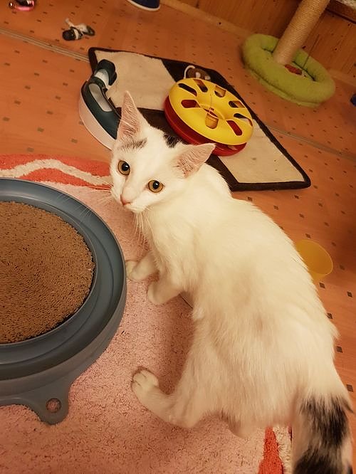 Danke f&uuml;r Hilfe und Unterst&uuml;tzung