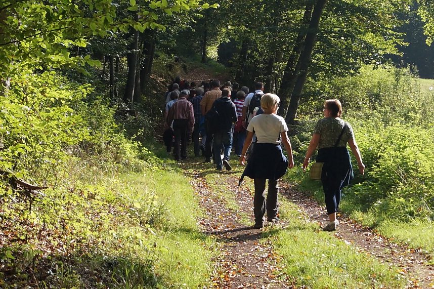 Wanderung rund um Neustadt