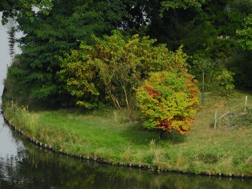 Kirche im W&ouml;rlitzer Park