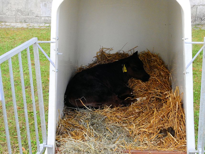 Klostermarkt in Walkenried