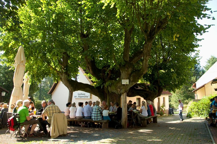 4. Benefiz-Wanderung f&uuml;r das Christliche Hospiz Haus Geborgenheit