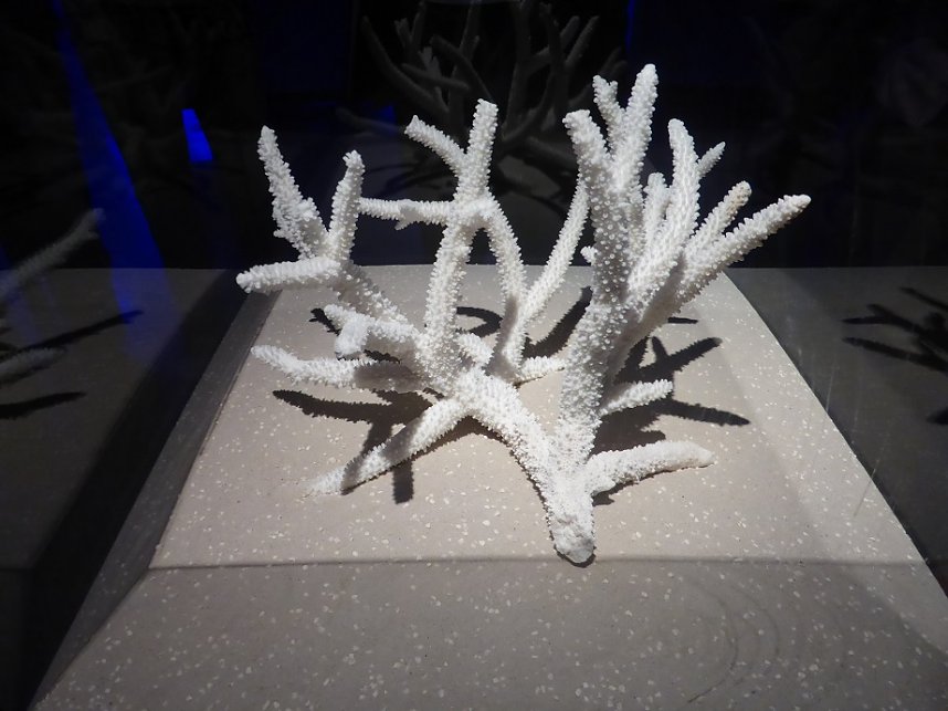 Herzsportgruppe war unterwegs