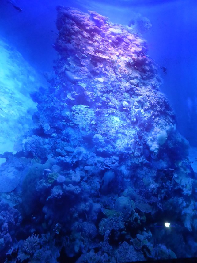 Herzsportgruppe war unterwegs