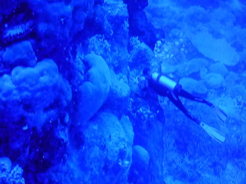 Herzsportgruppe war unterwegs