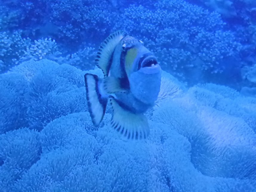 Herzsportgruppe war unterwegs