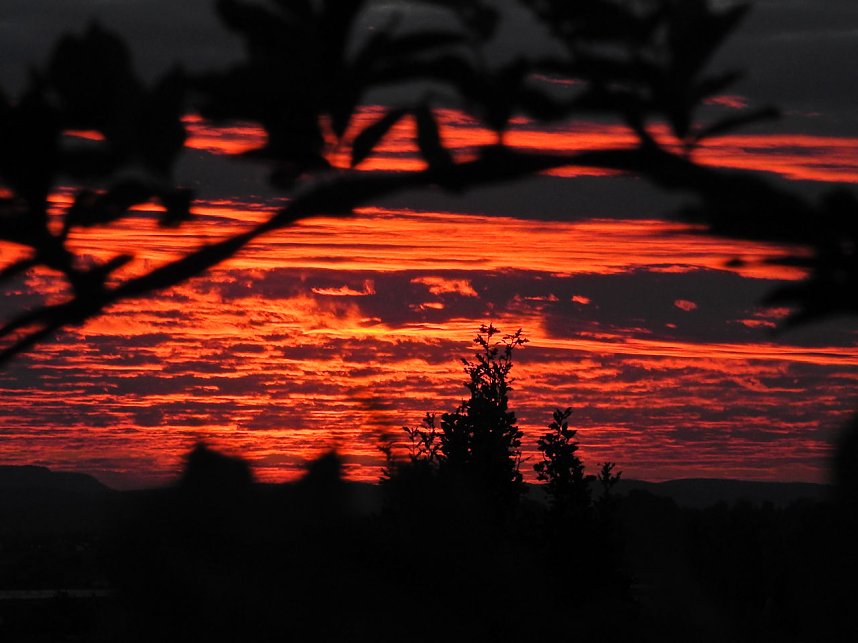 Farbenspiel &uuml;ber Nordhausen