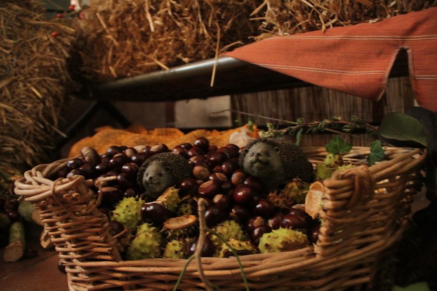 Erntedank Gottesdienst der Nordth&uuml;ringer Lebenshilfe