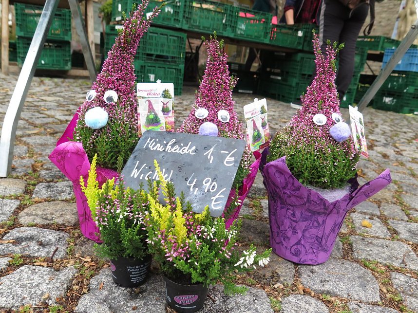 Herbstmarkt in Nordhausen