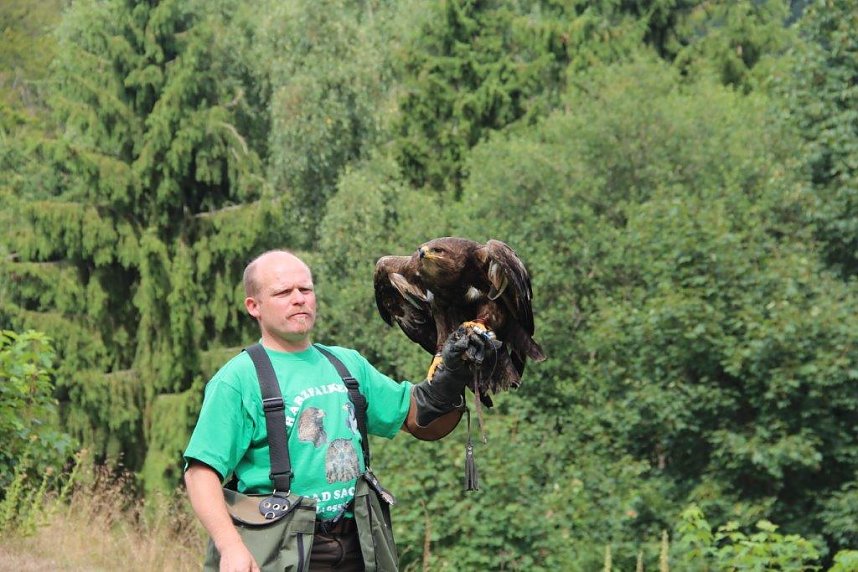 Besuch im Harzfalkenhof