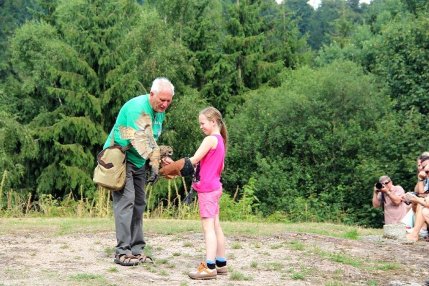 Besuch im Harzfalkenhof