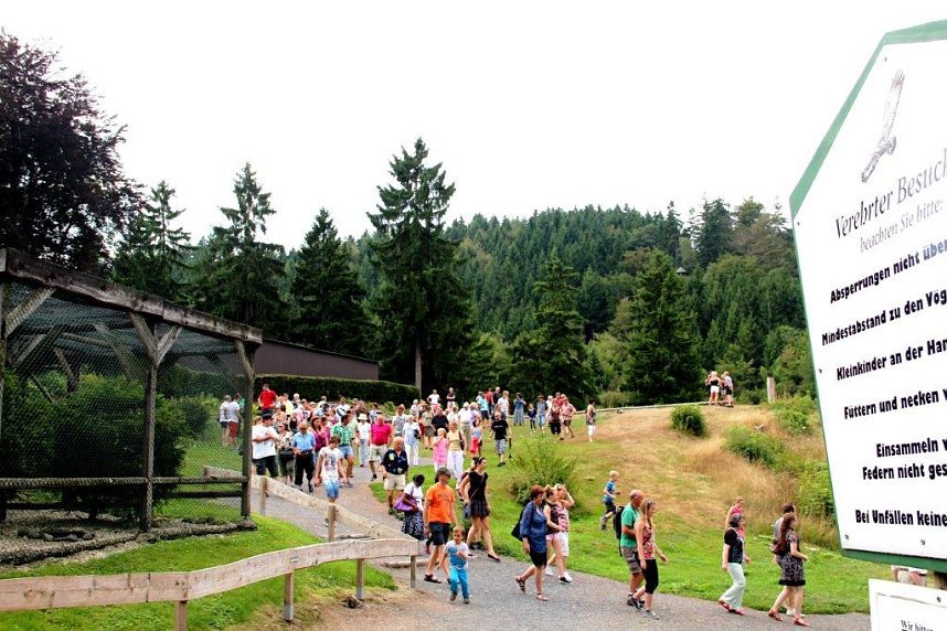 Besuch im Harzfalkenhof