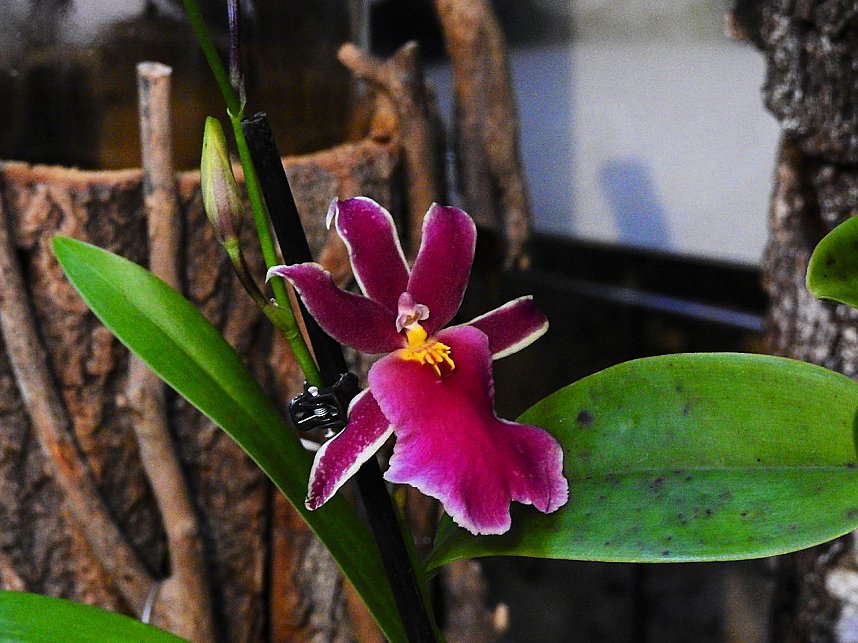 25 Jahre Keramikscheune Spickendorf