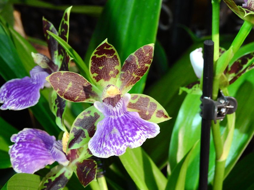 25 Jahre Keramikscheune Spickendorf