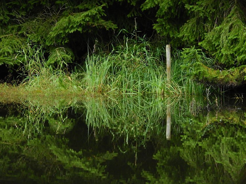 Hardt-Teich bei Neustadt