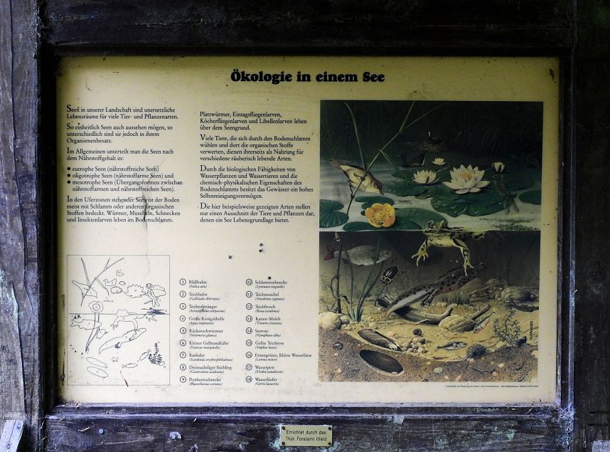 Hardt-Teich bei Neustadt