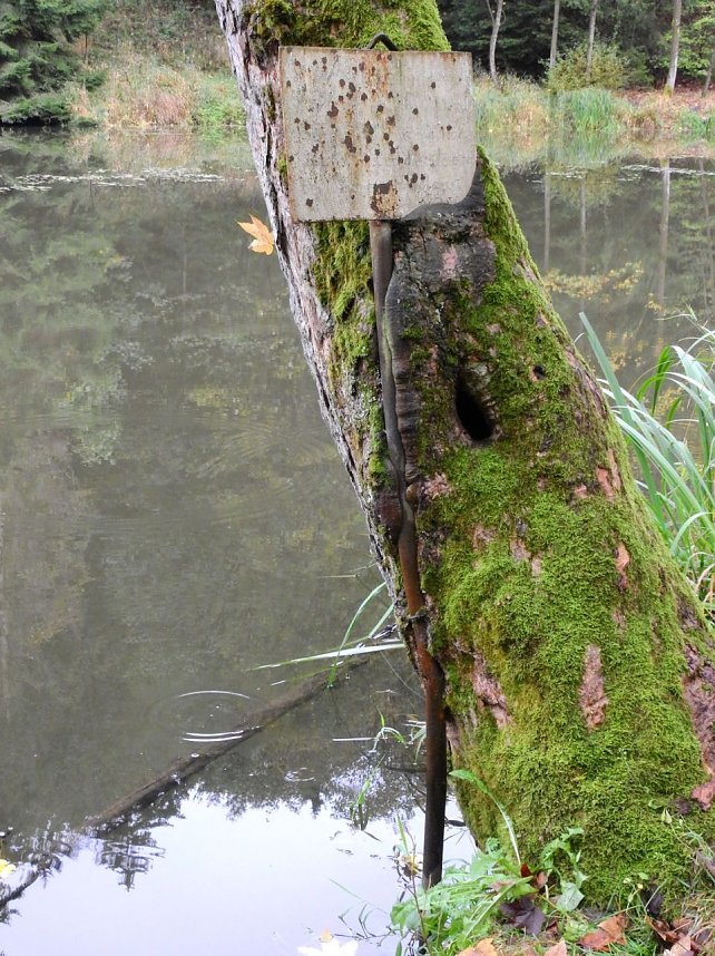 Hardt-Teich bei Neustadt