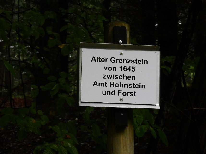 Hardt-Teich bei Neustadt