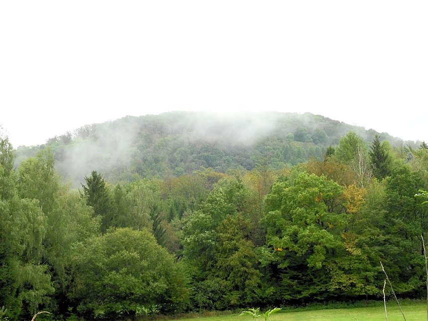 Hardt-Teich bei Neustadt