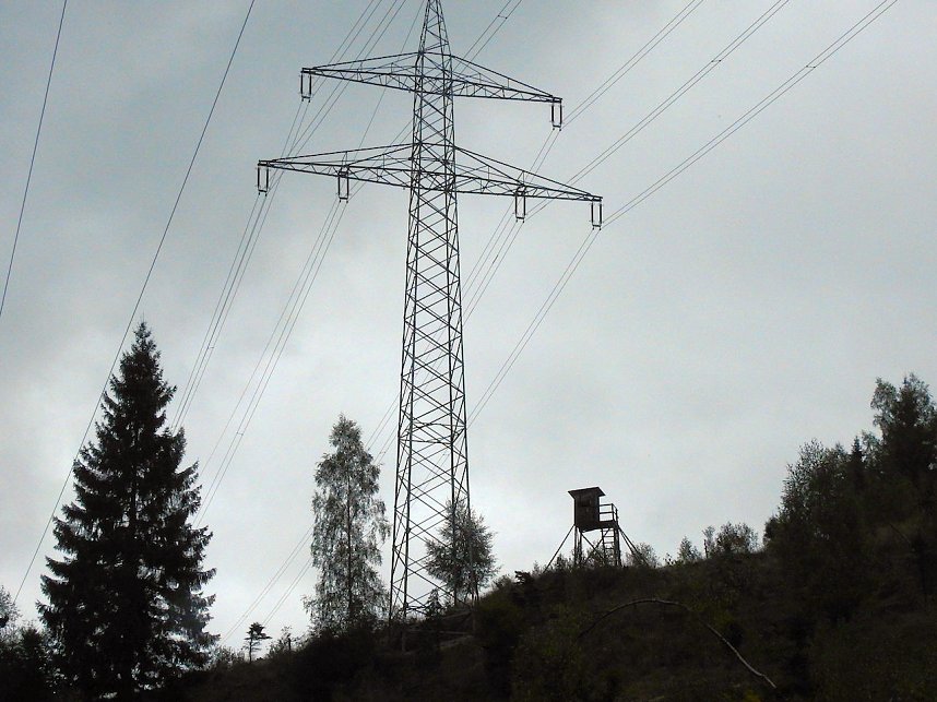 Hardt-Teich bei Neustadt