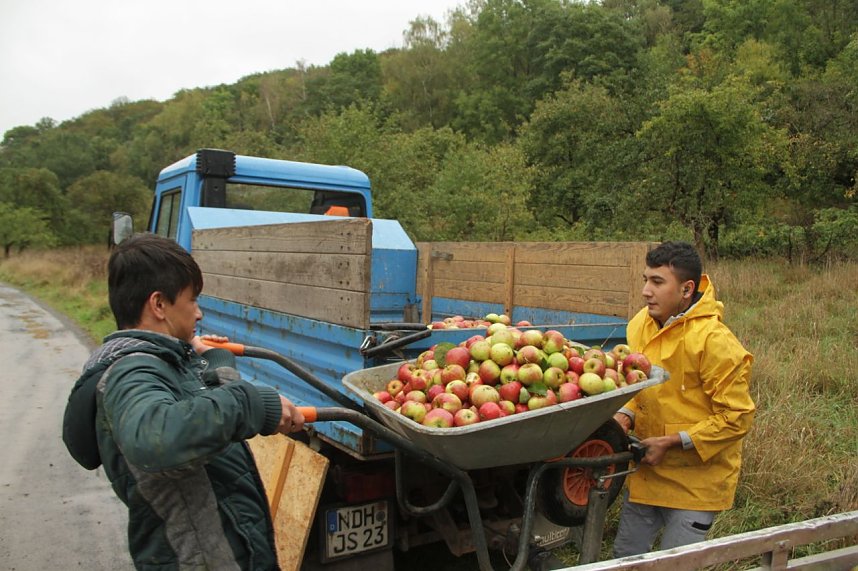 &Auml;pfel f&uuml;r Aleppo geht in die zweite Runde