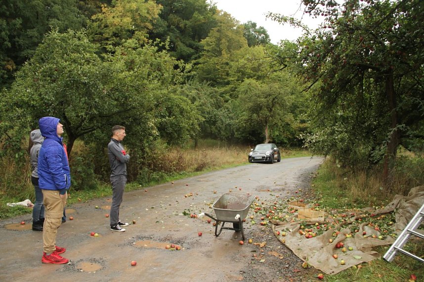 &Auml;pfel f&uuml;r Aleppo geht in die zweite Runde