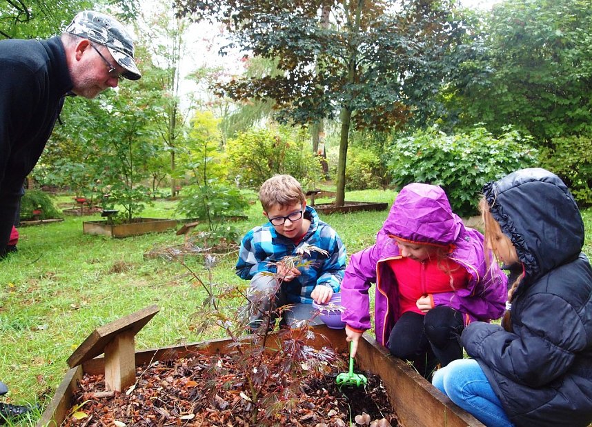 Viel Arbeit im Ilfelder Ahornpark