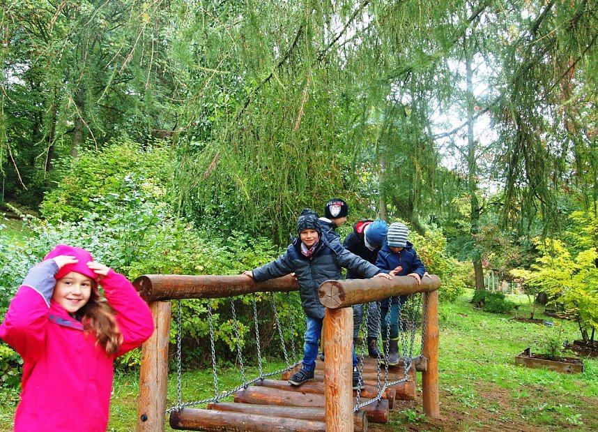 Viel Arbeit im Ilfelder Ahornpark