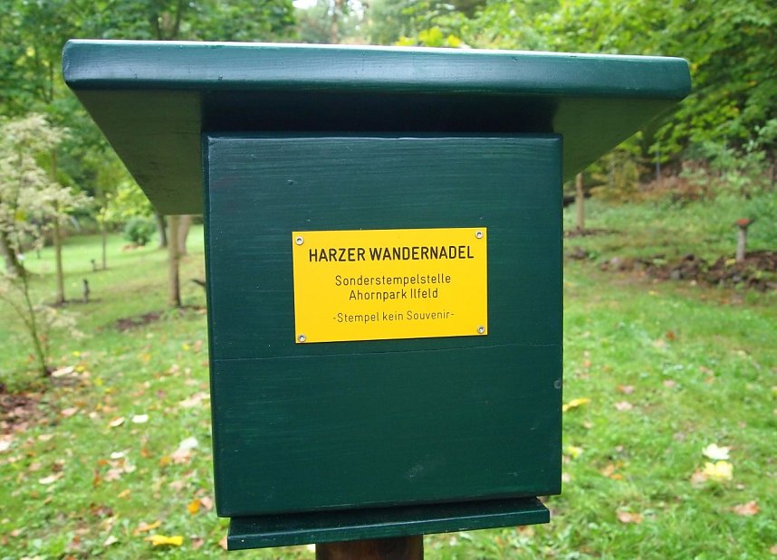 Viel Arbeit im Ilfelder Ahornpark