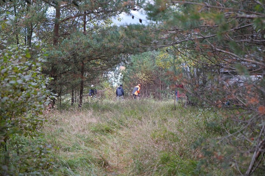 Freiwilligeneinsatz am Gr&uuml;nen Band