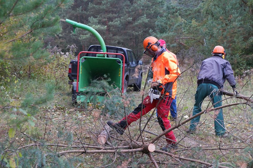 Freiwilligeneinsatz am Gr&uuml;nen Band