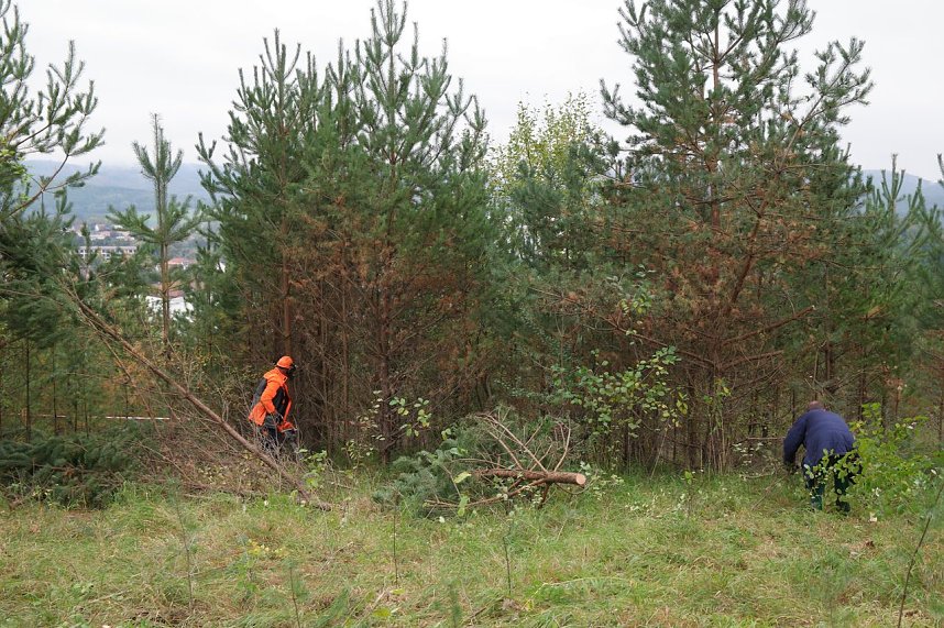 Freiwilligeneinsatz am Gr&uuml;nen Band